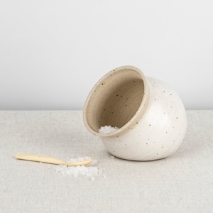 May include: A white ceramic salt cellar with brown speckles, tipped on its side, spilling salt onto a linen surface. A small wooden spoon is lying next to the salt.