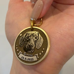 Könnte beinhalten: Ein runder, goldfarbener Hundeanhänger mit einer detaillierten Gravur eines Dackelgesichts. Der Anhänger trägt den Namen "Brownie" und das Datum "10.9.2022" in einem Banner-Design, mit Sternen.