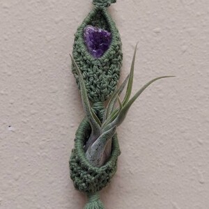 May include: A green macrame plant hanger with a purple amethyst crystal and a small air plant. The hanger has a tassel at the bottom.