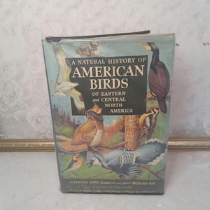 Vintage bird book, American birds book, Edward Howe Forbush, illustrated bird guide, vintage nature book