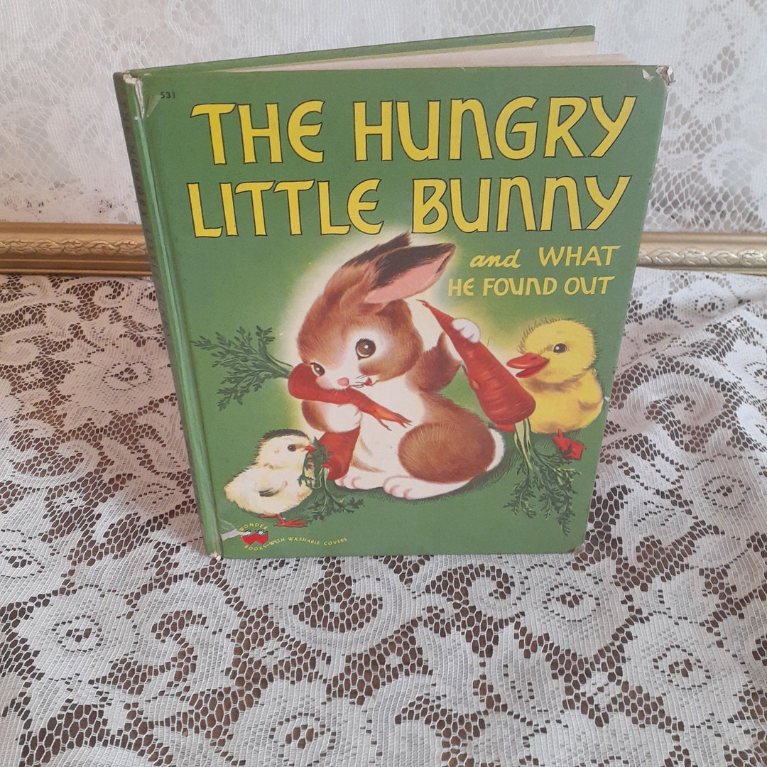 Vintage Children’s Book – the Hungry Little Bunny and What He Found Out ...