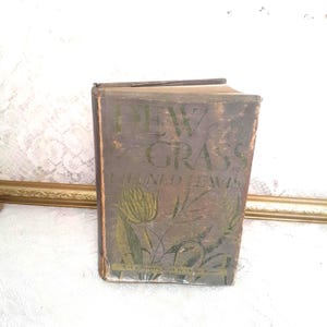 Vintage Autobiographical Novel Book, Dew on The Grass by Eiluned Lewis 1934 Hardcover Classic Literature