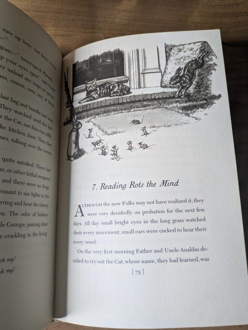 May include: An open book page featuring a black and white illustration of a cat on a porch, a rabbit leaping, and several mice in the grass. The text heading reads 7. Reading Rots the Mind, followed by a paragraph starting with the letter A.