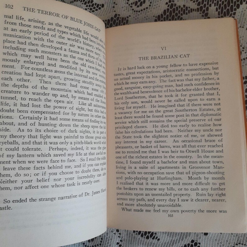 K&ouml;nnte beinhalten: Offenes Buch mit Text auf gealterten Seiten. Die linke Seite tr&auml;gt den Titel "THE TERROR OF BLUE JOHN GAP" und die rechte Seite den Titel "THE BRAZILIAN CAT". Der Text ist schwarz.