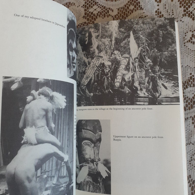 Where the Spirits Dwell: An Odyssey in the Jungle of New Guinea by Tobias Schneebaum, Vintage 1988 Paperback Anthropology Book image 4
