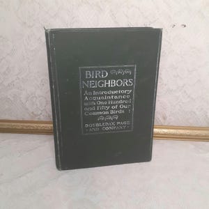 Antique Bird Neighbors Book: Illustrated Common Birds Guide