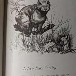 May include: A black and white ink illustration of a rabbit and a mouse in tall grass. Below the drawing, the text reads: 1. New Folks Coming. ALL THE Hill was boiling with excitement. On every side there rose a continual chattering and squeaking.