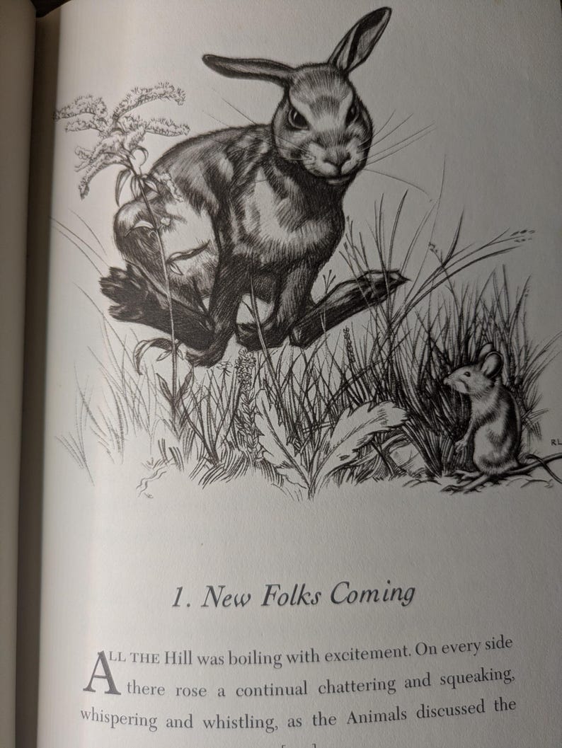 May include: A black and white ink illustration of a rabbit and a mouse in tall grass. Below the drawing, the text reads: 1. New Folks Coming. ALL THE Hill was boiling with excitement. On every side there rose a continual chattering and squeaking.