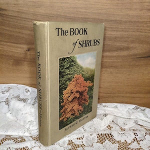 May include: A vintage book titled "The Book of Shrubs" by Alfred C. Hotten. The cover features a color image of a shrub with orange and green foliage. The book is tan with black lettering and is displayed on a white lace cloth.