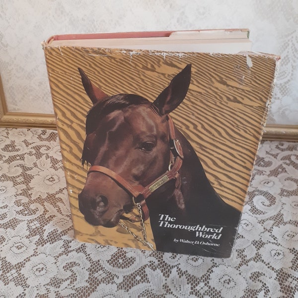 1970s Horse Book - Etsy
