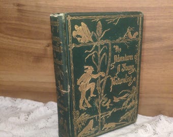 The Adventures of a Young Naturalist book, antique nature adventure, Lucien Biart