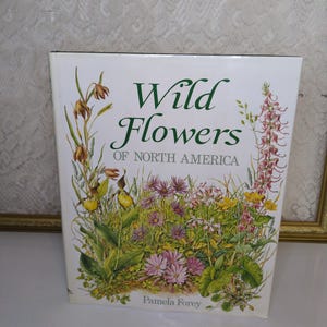 Botany book, Wild Flowers of North America, Pamela Forey 1991 vintage hardcover guide