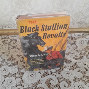 Vintage Black Stallion Book: 1953 First Edition, Horse Adventure