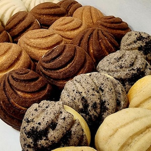 1dz Mini Conchas Sortidas