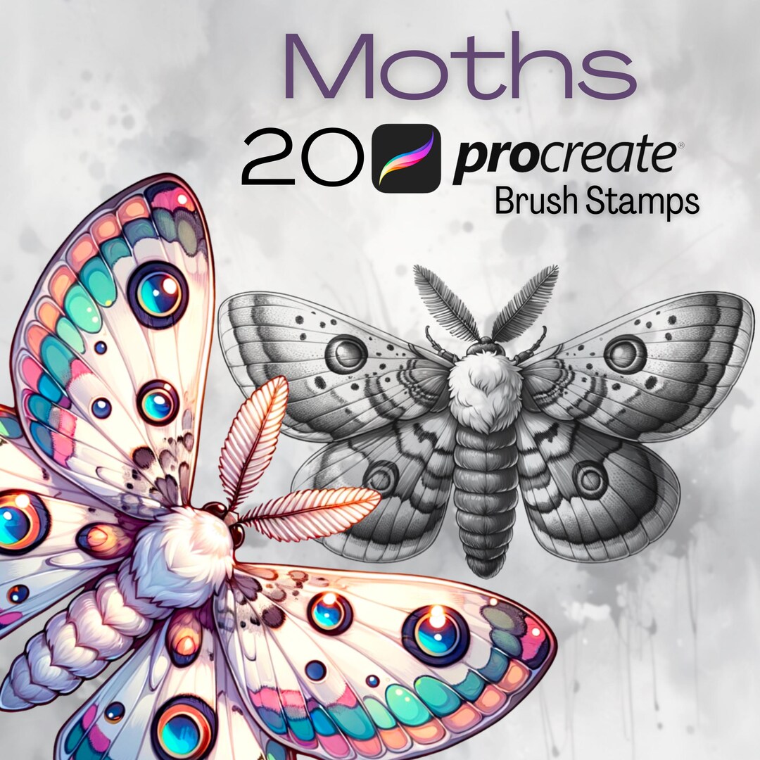 Moth Procreate Stamp Set | Intricate Moth Brushes | Digital Download - Etsy