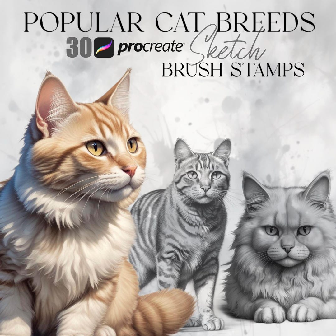 Procreate Cat Stamps - Cute Feline Stamp Set | Digital Drawing Tools ...