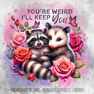 Du bist seltsam, ich werde dich behalten PNG, lustiger Waschbär JPG, süßes Opossum Valentinstag Clipart, sarkastische Tiersprüche, be Mine Digital Download