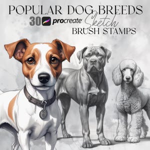 Procreate Hund Stempel - Digitales Canine Stempel Set für Procreate - Welpen, Haustier & Hunderasse Pinsel für Procreate Kunst