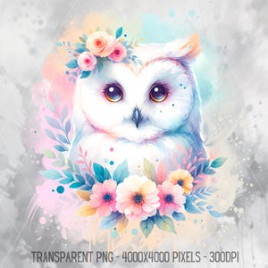 Pastel Owl PNG, Floral Bird Watercolor JPG, Beautiful Animal Clipart, High Resolution Digital Download