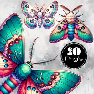 Motte png, Motte Clipart Set, digitaler Download