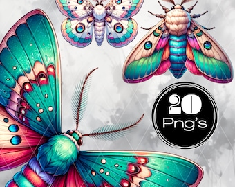 Moth png, Moth Clipart set, digital download
