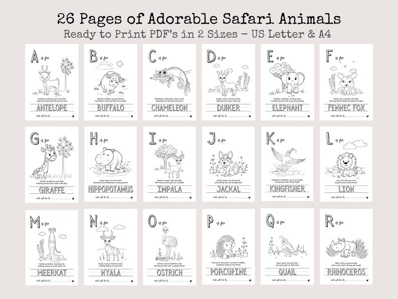 Boho Safari Baby’s First ABC Book – Minimalist Baby Shower Keepsake ...