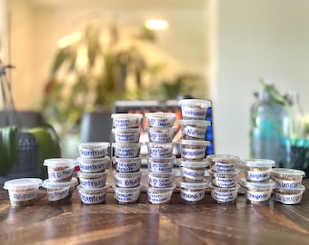 Alocasia Corms - Rare Varieties  -