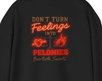 S.R Hoodie (Feelings/Felonies)