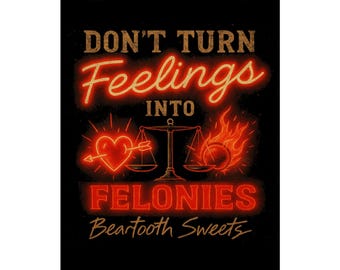 S.R Poster (Feelings/Felonies)