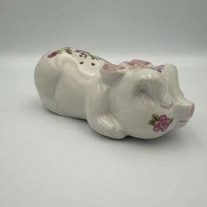 May include: A white ceramic pig-shaped salt and pepper shaker set. The pig has pink accents on its ears and snout, with floral designs in pink and purple. The shaker has two holes on its back.
