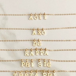 Alpha Omicron Pi Sorority Necklace, AOPI Sorority Necklace, Alpha Omicron Pi Necklace, AOPI Charm Necklace, Big Little Gift Sorority Jewelry