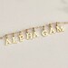 Alpha Gamma Delta Sorority Necklace, Alpha Gam Sorority Necklace, Alpha ...