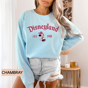 May include: Light blue Disneyland sweatshirt with the Disneyland logo in pink script, the text "EST 1928", and a Minnie Mouse graphic. The sweatshirt is a long-sleeved crew neck style.