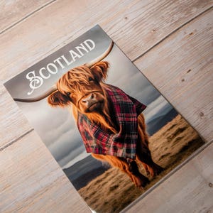 Highland Cow Greetings Card: Scottish Gift Card