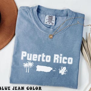 Comfort Colors Puerto Rico Concert Fan Shirt, Puerto Rican Tshirts, Boricua Gift For Fan, San Juan PR Tee, PE ERRE Orgullo Puertorriqueño