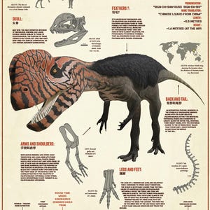 Sinosaurus sinensis poster