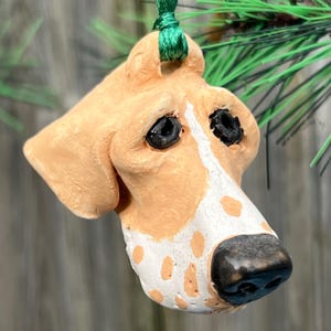 May include: A hand-painted ceramic ornament of a dog's head. The dog has a tan and white spotted coat with black eyes and a black nose. The ornament is hanging from a green string.