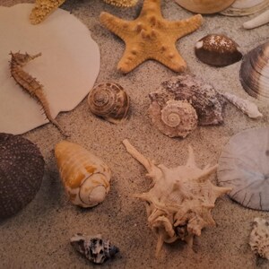 carte per decoupage e scrapbooking