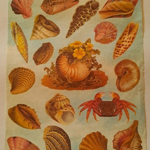 carte per decoupage e scrapbooking