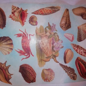 carte per decoupage e scrapbooking