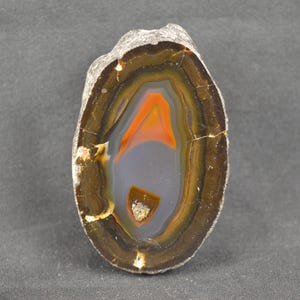 May include: A polished agate stone with a layered pattern of brown, orange, and grey hues. The stone has a rounded, oval shape with a rough, textured exterior. The centre features a vibrant orange and grey design.