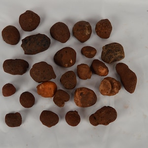 500g Agat Beans Specimen Nieoszlifowany Surowy Kryształ Czakry M26/47