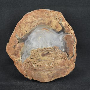 Könnte beinhalten: Ein polierter Querschnitt einer Geode, der einen zentralen Hohlraum mit weißen und durchscheinenden Quarzkristallen zeigt. Die äußere Schicht weist bräunliche und braune Farbtöne auf, mit sichtbaren Bändern und strukturellen Details. Die Gesamtform ist unregelmäßig.