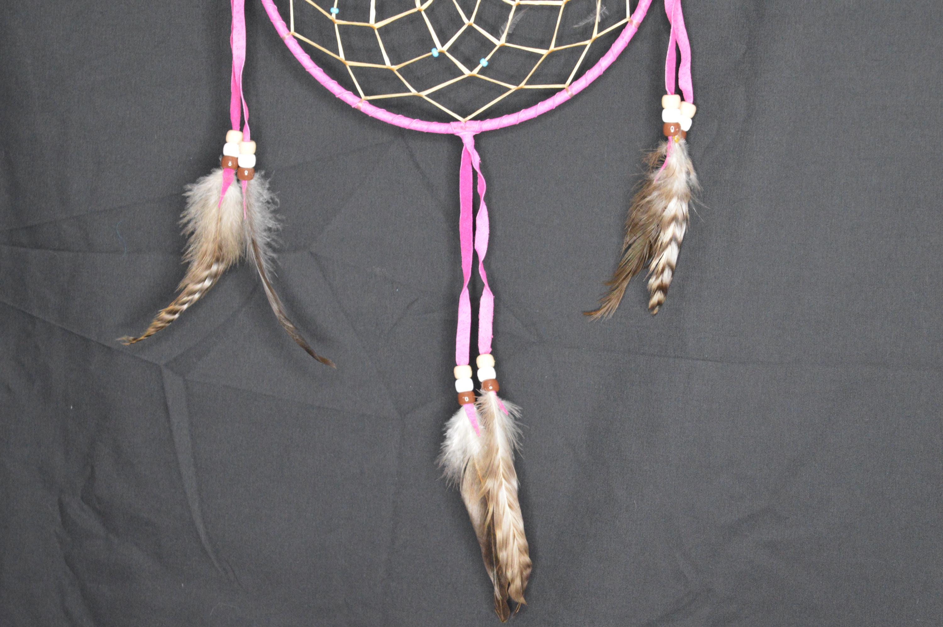 美しいネイティブアメリカンの羽根のドリームキャッチャー 8インチ