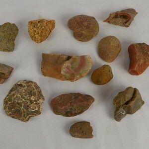 May include: A collection of small, irregularly shaped rocks in shades of brown, tan, and orange. Some rocks have a rough, textured surface, while others appear smoother. The collection is displayed on a white background.