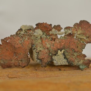 May include: A close-up of a copper mineral specimen. The mineral has a rough, irregular shape with a reddish-brown colour, and patches of green and grey. It sits on a wooden surface.
