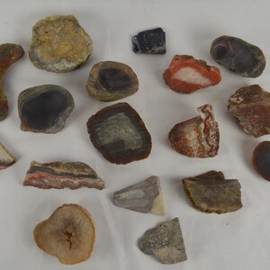 May include: A selection of polished stones and geodes in shades of brown, red, grey, and purple. The stones display unique patterns and textures, with some featuring crystalline interiors. The assortment is displayed on a white surface.