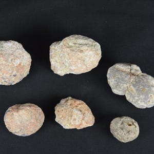 May include: Six irregularly shaped, light-coloured stones of varying sizes are arranged on a black background. The stones have a rough, textured surface with shades of beige, tan, and grey. The arrangement suggests a collection of natural specimens.