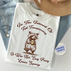 Im Interesse der vollen Transparenz Sweatshirt, lustiges Waschbär Hoodie, Retro 90er Waschbär Shirt, sarkastisches Sweatshirt, lustiges Geschenk