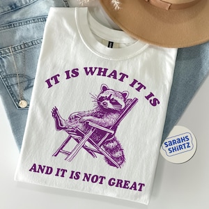 Het is wat het is en het is niet geweldig Vintage - T-shirt Chillin Raccoon, grappig, wasbeer, meme, cartoon T-shirt, retro T-shirt, leuk cadeau